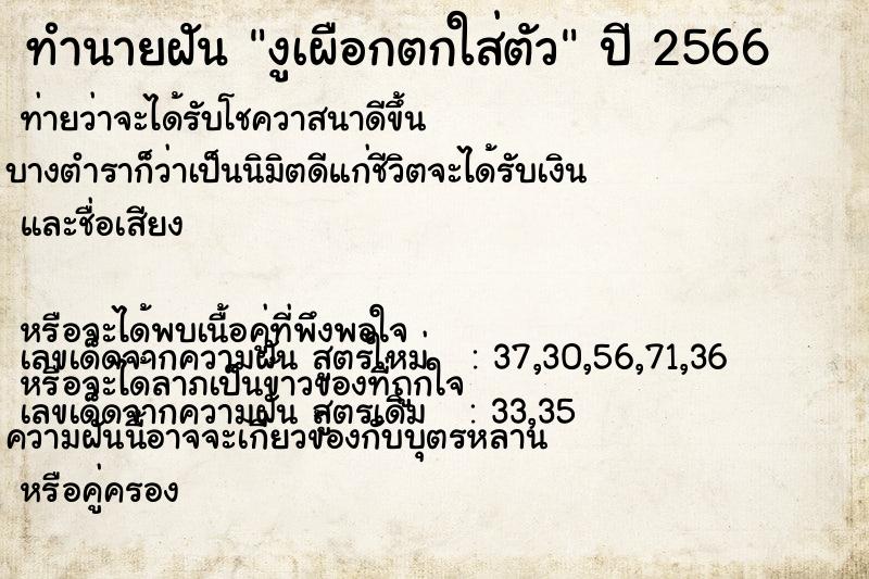 ทำนายฝัน งูเผือกตกใส่ตัว ทำนายฝัน งูเผือกตกใส่ตัว