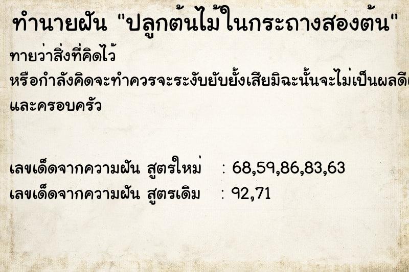 ทำนายฝันปลูกต้นไม้ในกระถางสองต้น ทำนายฝันทำนายฝันปลูกต้นไม้ในกระถางสองต้น
