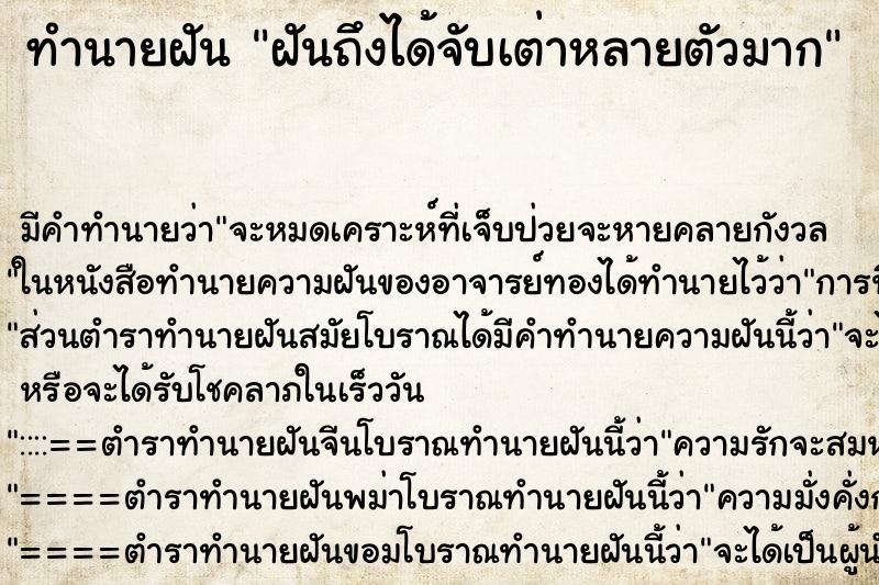 ทำนายฝันทำนายฝันฝันถึงได้จับเต่าหลายตัวมาก