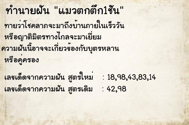 ทำนายฝันแมวตกตึก1ชััน ทำนายฝันทำนายฝันแมวตกตึก1ชััน