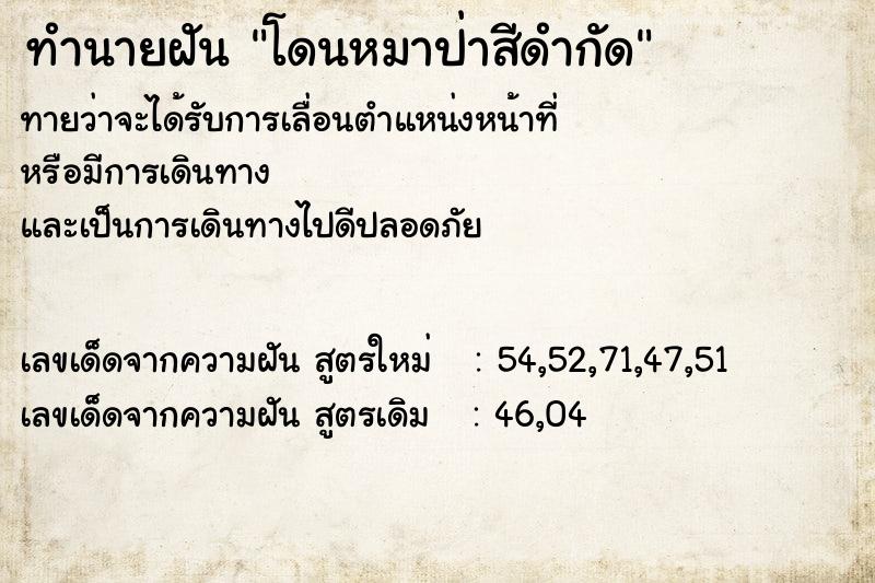 ทำนายฝันโดนหมาป่าสีดำกัด ทำนายฝันทำนายฝันโดนหมาป่าสีดำกัด