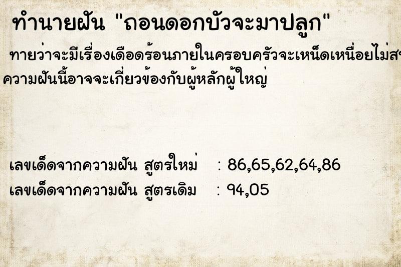 ทำนายฝัน ถอนดอกบัวจะมาปลูก