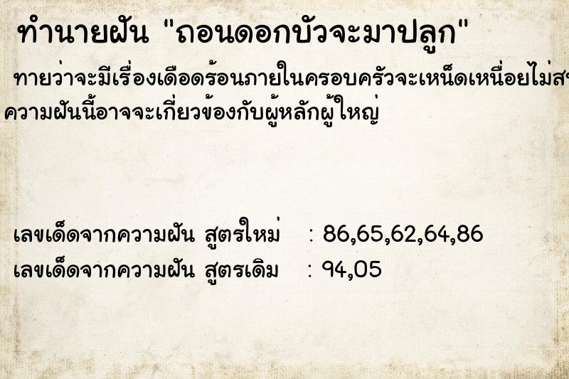 ทำนายฝัน ถอนดอกบัวจะมาปลูก ตำราโบราณ แม่นที่สุดในโลก