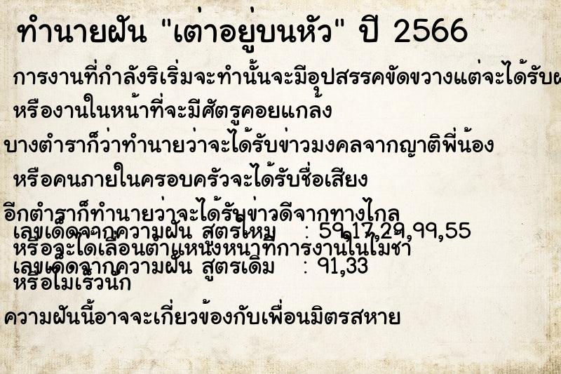 ทำนายฝัน เต่าอยู่บนหัว