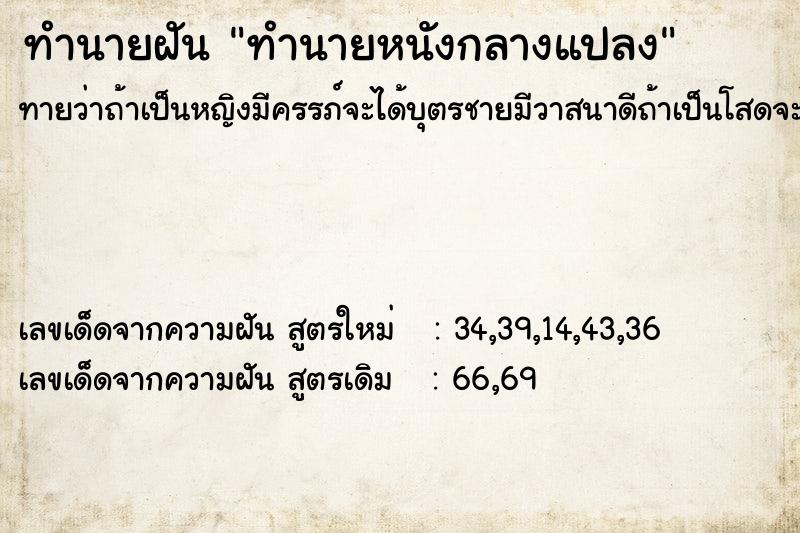 ทำนายฝันทำนายหนังกลางแปลง ทำนายฝันทำนายฝันทำนายหนังกลางแปลง