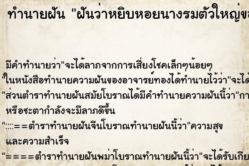 ทำนายฝันฝันว่าหยิบหอยนางรมตัวใหญ่ของคนอื่นไปกิน ทำนายฝันทำนายฝันฝันว่าหยิบหอยนางรมตัวใหญ่ของคนอื่นไปกิน