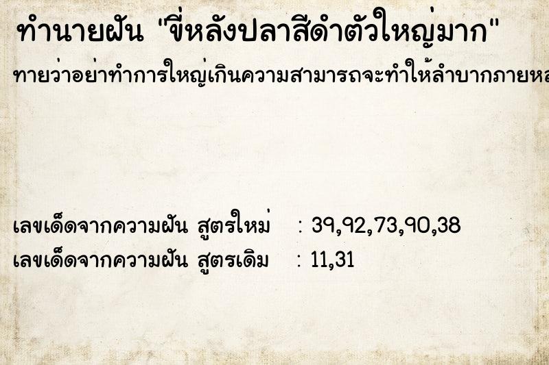 ทำนายฝันขี่หลังปลาสีดำตัวใหญ่มาก ทำนายฝันทำนายฝันขี่หลังปลาสีดำตัวใหญ่มาก