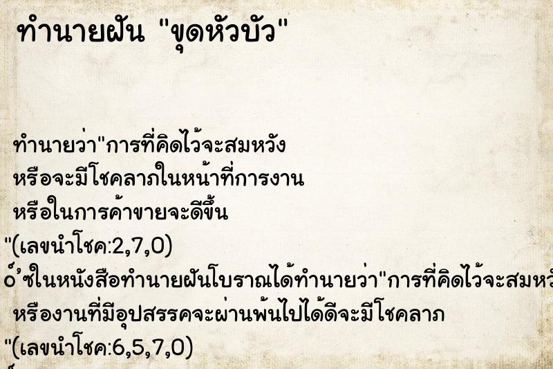 ทำนายฝันขุดหัวบัว ทำนายฝันทำนายฝันขุดหัวบัว