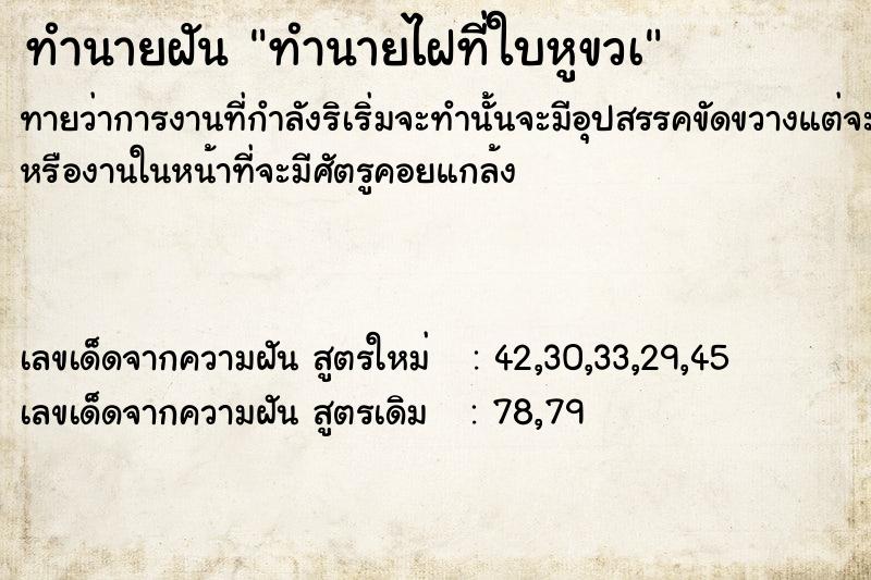 ทำนายฝันทำนายไฝที่ใบหูขวà ทำนายฝันทำนายฝันทำนายไฝที่ใบหูขวà