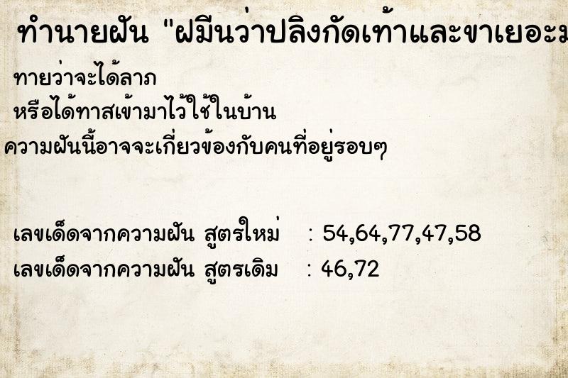 ทำนายฝันฝมีนว่าปลิงกัดเท้าและขาเยอะมากตกใจมาก ทำนายฝันทำนายฝันฝมีนว่าปลิงกัดเท้าและขาเยอะมากตกใจมาก