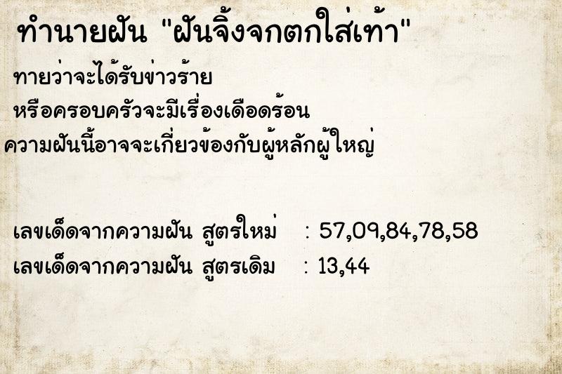 ทำนายฝันฝันจิ้งจกตกใส่เท้า ทำนายฝันทำนายฝันฝันจิ้งจกตกใส่เท้า