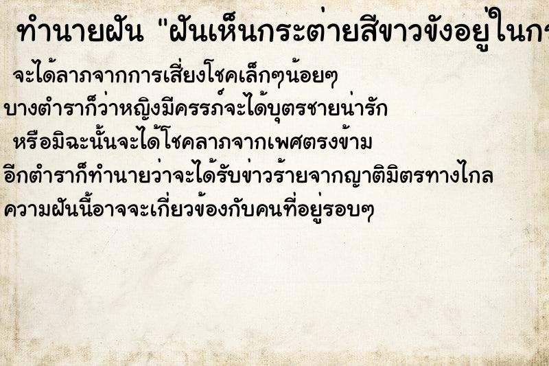 ทำนายฝันฝันเห็นกระต่ายสีขาวขังอยู่ในกรง ทำนายฝันทำนายฝันฝันเห็นกระต่ายสีขาวขังอยู่ในกรง