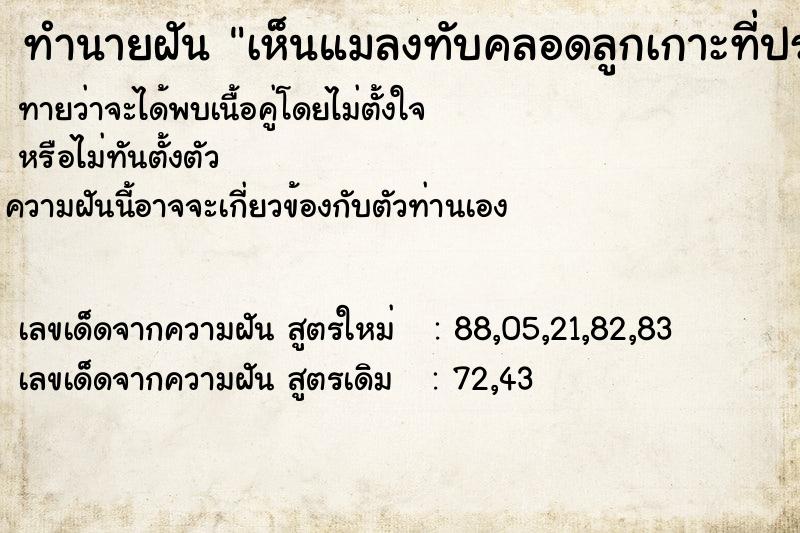 ทำนายฝันทำนายฝันเห็นแมลงทับคลอดลูกเกาะที่ประตูหน้าบ้าน