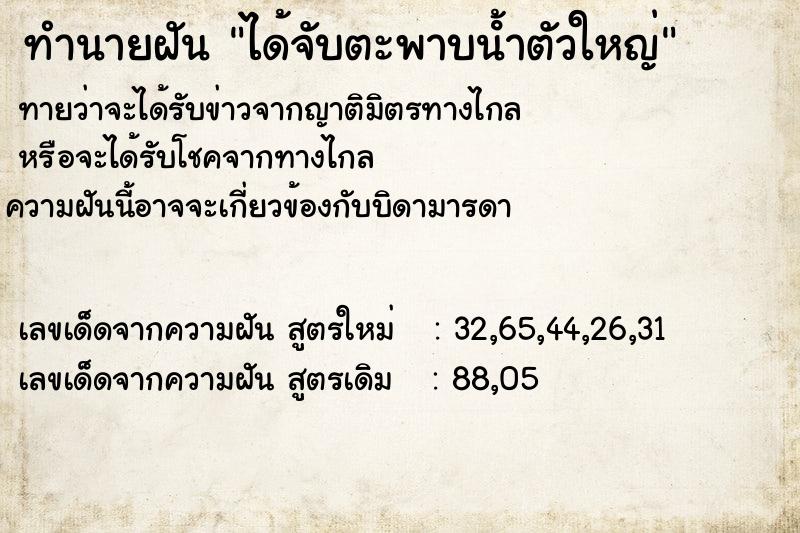 ทำนายฝัน ได้จับตะพาบนํ้าตัวใหญ่ ตำราโบราณ แม่นที่สุดในโลก