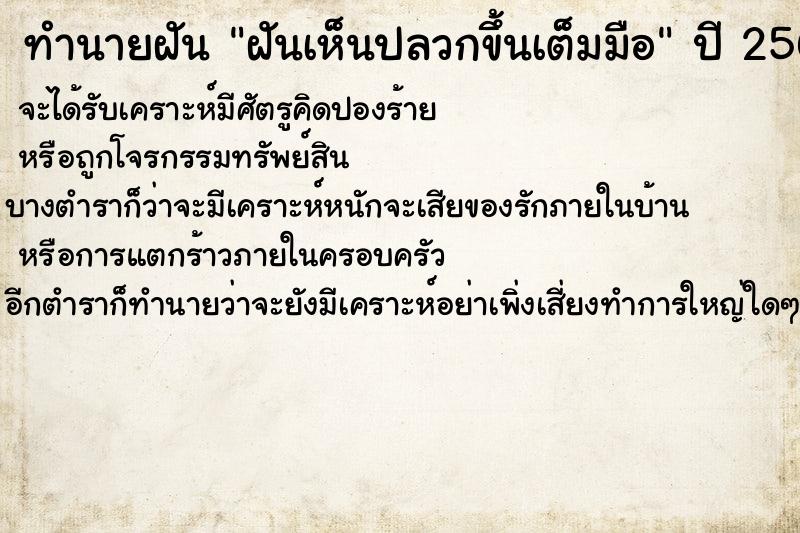 ทำนายฝันทำนายฝันฝันเห็นปลวกขึ้นเต็มมือ