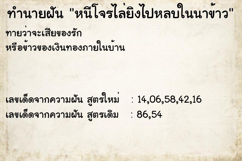 ทำนายฝันหนีโจรไล่ยิงไปหลบในนาข้าว ทำนายฝันทำนายฝันหนีโจรไล่ยิงไปหลบในนาข้าว