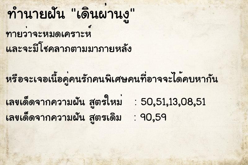 ทำนายฝันทำนายฝันเดินผ่านงู