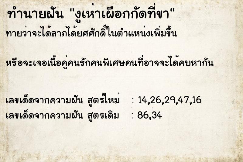 ทำนายฝันงูเห่าเผือกกัดที่ขา ทำนายฝันทำนายฝันงูเห่าเผือกกัดที่ขา