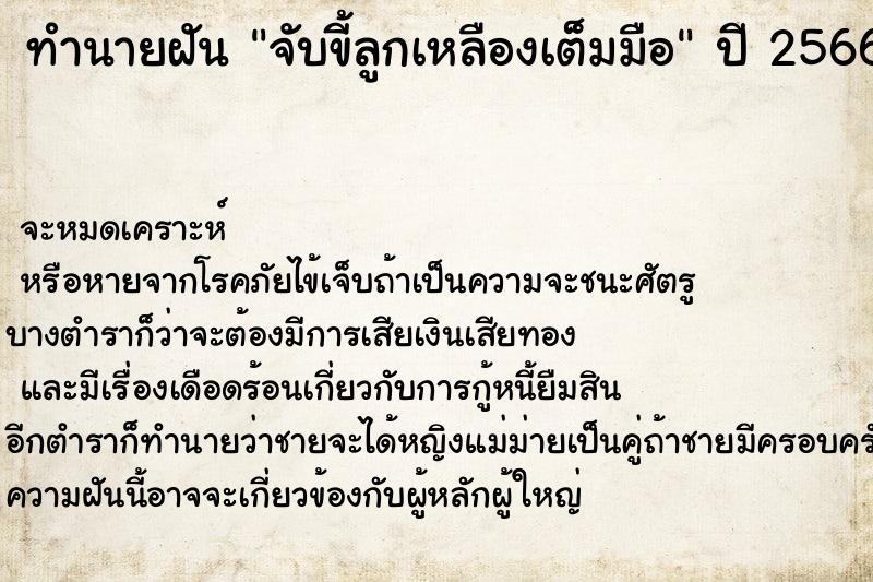 ทำนายฝันจับขี้ลูกเหลืองเต็มมือ ทำนายฝันทำนายฝันจับขี้ลูกเหลืองเต็มมือ
