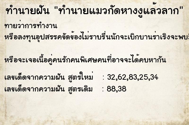 ทำนายฝันทำนายแมวกัดหางงูแล้วลาก ทำนายฝันทำนายฝันทำนายแมวกัดหางงูแล้วลาก