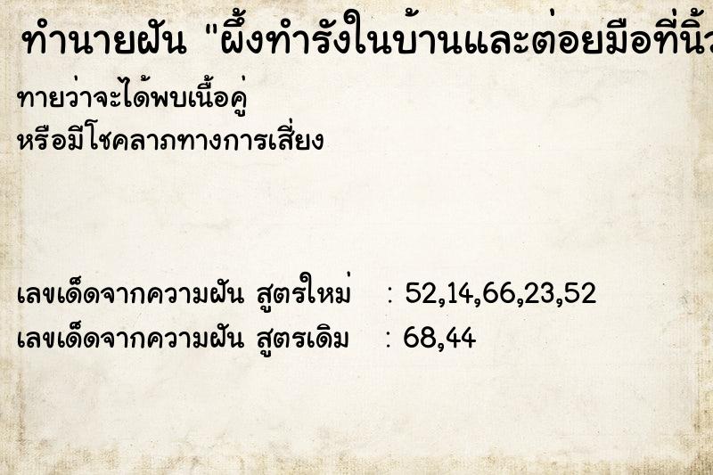 ทำนายฝันทำนายฝันผึ้งทำรังในบ้านและต่อยมือที่นิ้วชี้