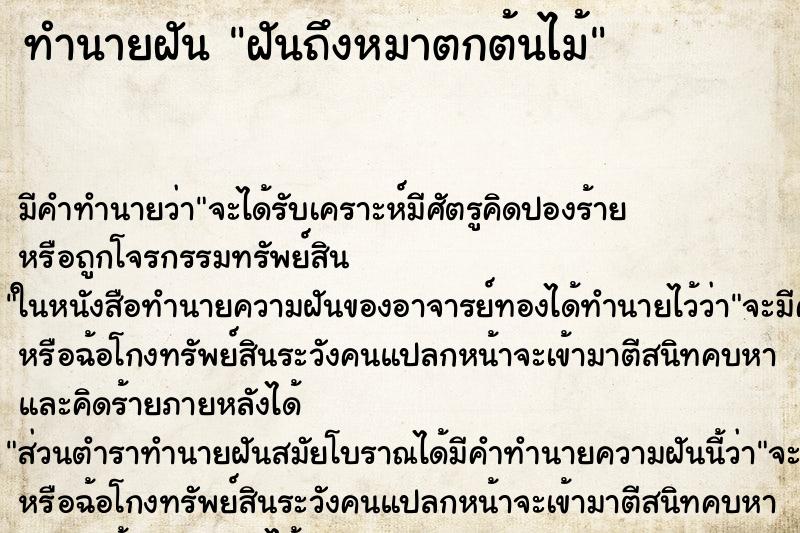 ทำนายฝันทำนายฝันฝันถึงหมาตกต้นไม้