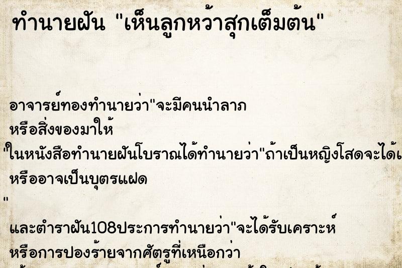 ทำนายฝัน เห็นลูกหว้าสุกเต็มต้น ทำนายฝัน เห็นลูกหว้าสุกเต็มต้น
