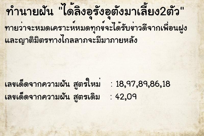 ทำนายฝันได้ลิงอุรังอุตังมาเลี้ยง2ตัว ทำนายฝันทำนายฝันได้ลิงอุรังอุตังมาเลี้ยง2ตัว