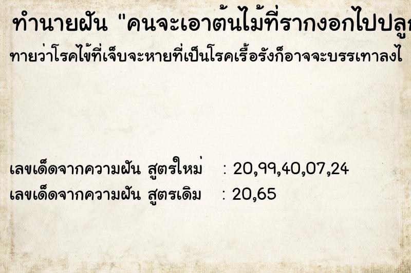 ทำนายฝันคนจะเอาต้นไม้ที่รากงอกไปปลูก ทำนายฝันทำนายฝันคนจะเอาต้นไม้ที่รากงอกไปปลูก