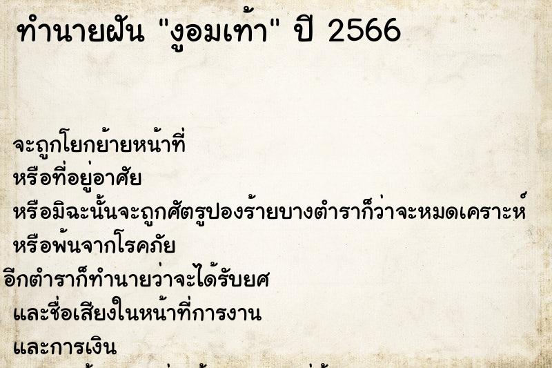 ทำนายฝันทำนายฝันงูอมเท้า