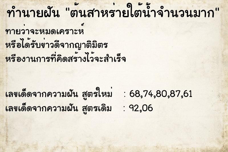 ทำนายฝันทำนายฝันต้นสาหร่ายใต้น้ำจำนวนมาก