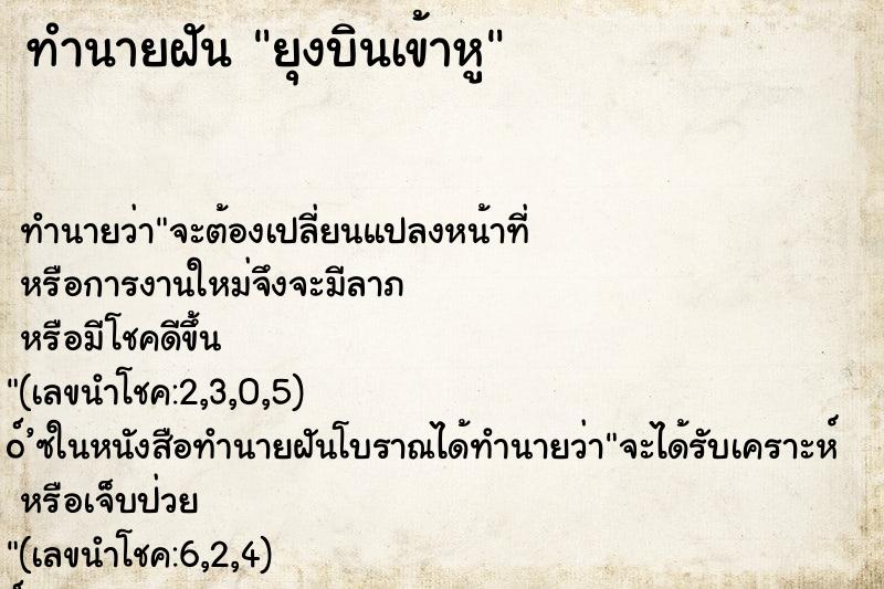 ทำนายฝัน ยุงบินเข้าหู