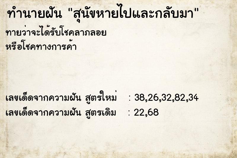 ทำนายฝันทำนายฝันสุนัขหายไปและกลับมา