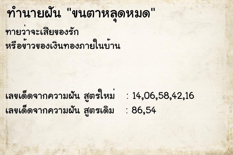 ทำนายฝันขนตาหลุดหมด ทำนายฝันทำนายฝันขนตาหลุดหมด