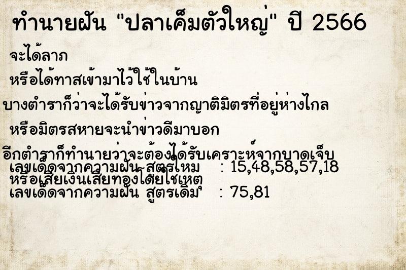 ทำนายฝัน ปลาเค็มตัวใหญ่ ทำนายฝัน ปลาเค็มตัวใหญ่