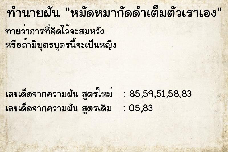ทำนายฝันหมัดหมากัดดำเต็มตัวเราเอง ทำนายฝันทำนายฝันหมัดหมากัดดำเต็มตัวเราเอง
