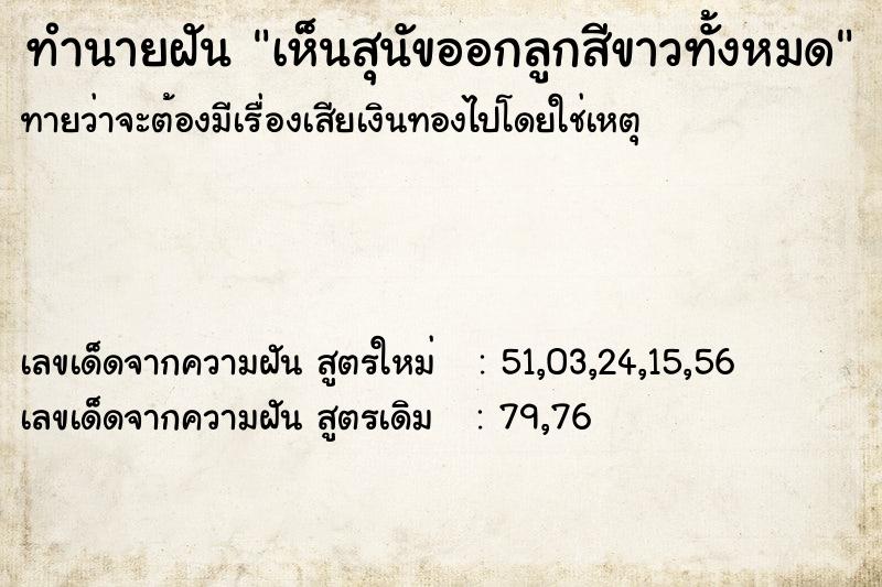 ทำนายฝัน เห็นสุนัขออกลูกสีขาวทั้งหมด ทำนายฝัน เห็นสุนัขออกลูกสีขาวทั้งหมด
