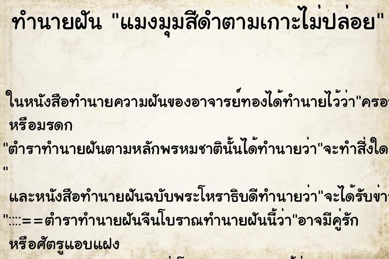 ทำนายฝันแมงมุมสีดำตามเกาะไม่ปล่อย ทำนายฝันทำนายฝันแมงมุมสีดำตามเกาะไม่ปล่อย