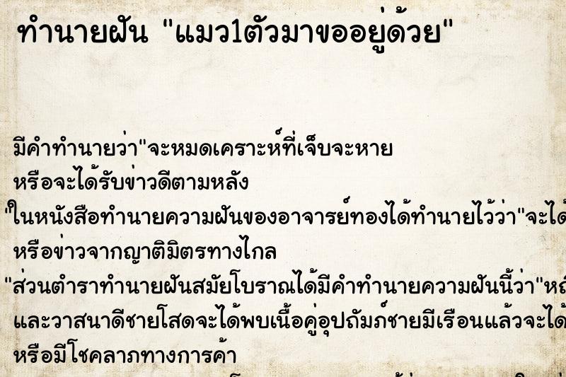 ทำนายฝันแมว1ตัวมาขออยู่ด้วย ทำนายฝันทำนายฝันแมว1ตัวมาขออยู่ด้วย