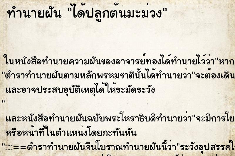 ทำนายฝันทำนายฝันได้ปลูกต้นมะม่วง