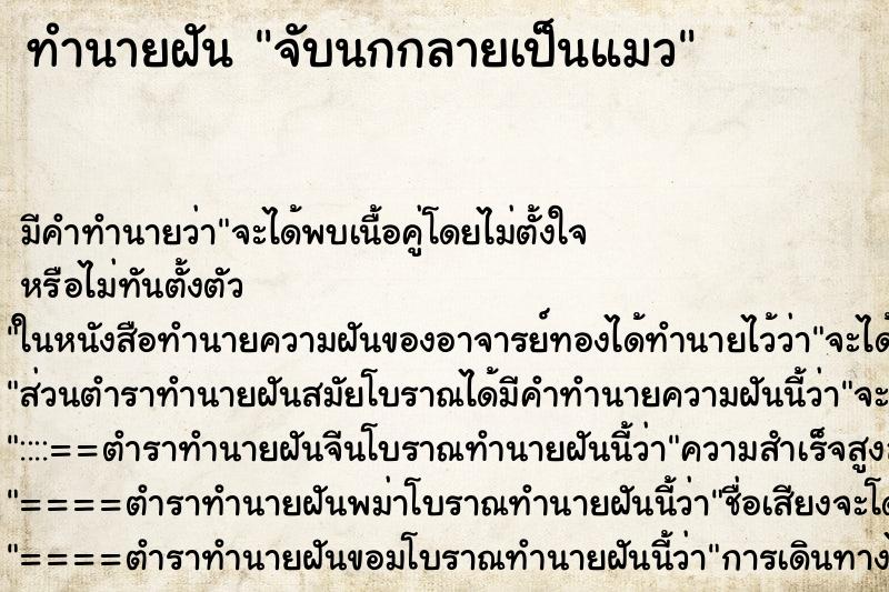 ทำนายฝัน จับนกกลายเป็นแมว ทำนายฝัน จับนกกลายเป็นแมว