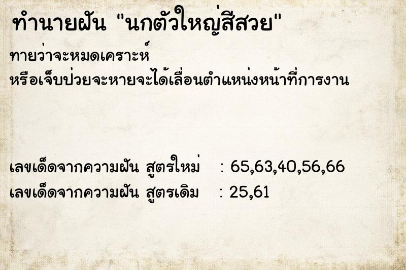 ทำนายฝันนกตัวใหญ่สีสวย ทำนายฝันทำนายฝันนกตัวใหญ่สีสวย