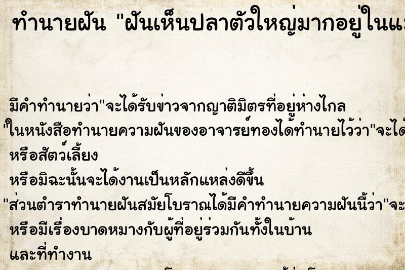 ทำนายฝัน ฝันเห็นปลาตัวใหญ่มากอยู่ในแม่น้ำ ตำราโบราณ แม่นที่สุดในโลก