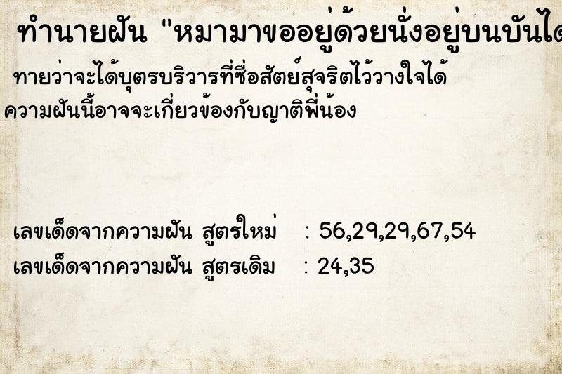 ทำนายฝันทำนายฝันหมามาขออยู่ด้วยนั่งอยู่บนบันไดบ้าน