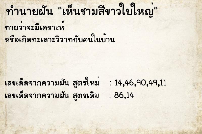 ทำนายฝันทำนายฝันเห็นชามสีขาวใบใหญ่