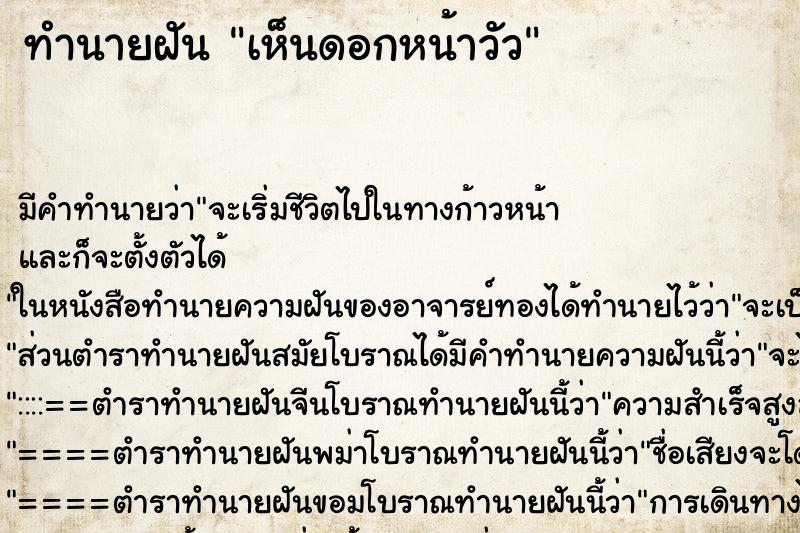 ทำนายฝัน เห็นดอกหน้าวัว ทำนายฝัน เห็นดอกหน้าวัว