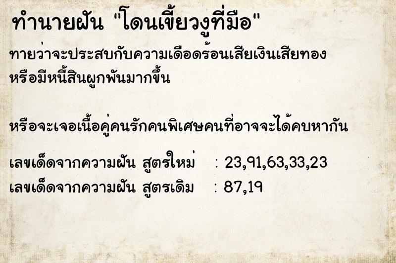 ทำนายฝันโดนเขี้ยวงูที่มือ ทำนายฝันทำนายฝันโดนเขี้ยวงูที่มือ