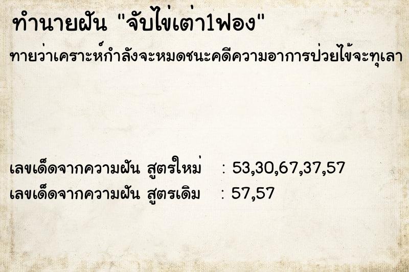 ทำนายฝันทำนายฝันจับไข่เต่า1ฟอง