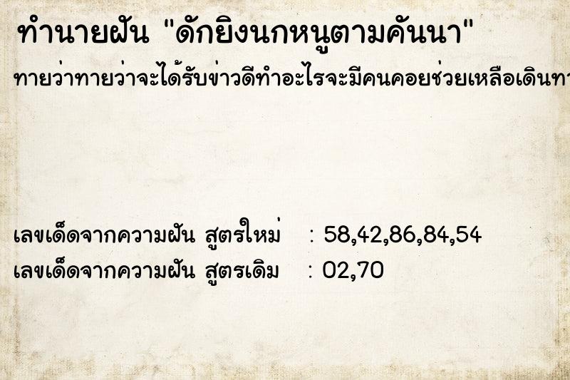 ทำนายฝันทำนายฝันดักยิงนกหนูตามคันนา