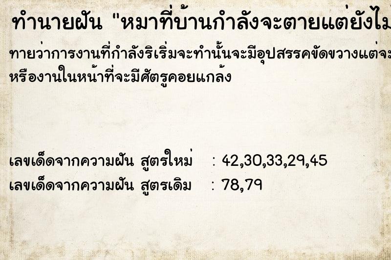 ทำนายฝันทำนายฝันหมาที่บ้านกำลังจะตายแต่ยังไม่ตาย